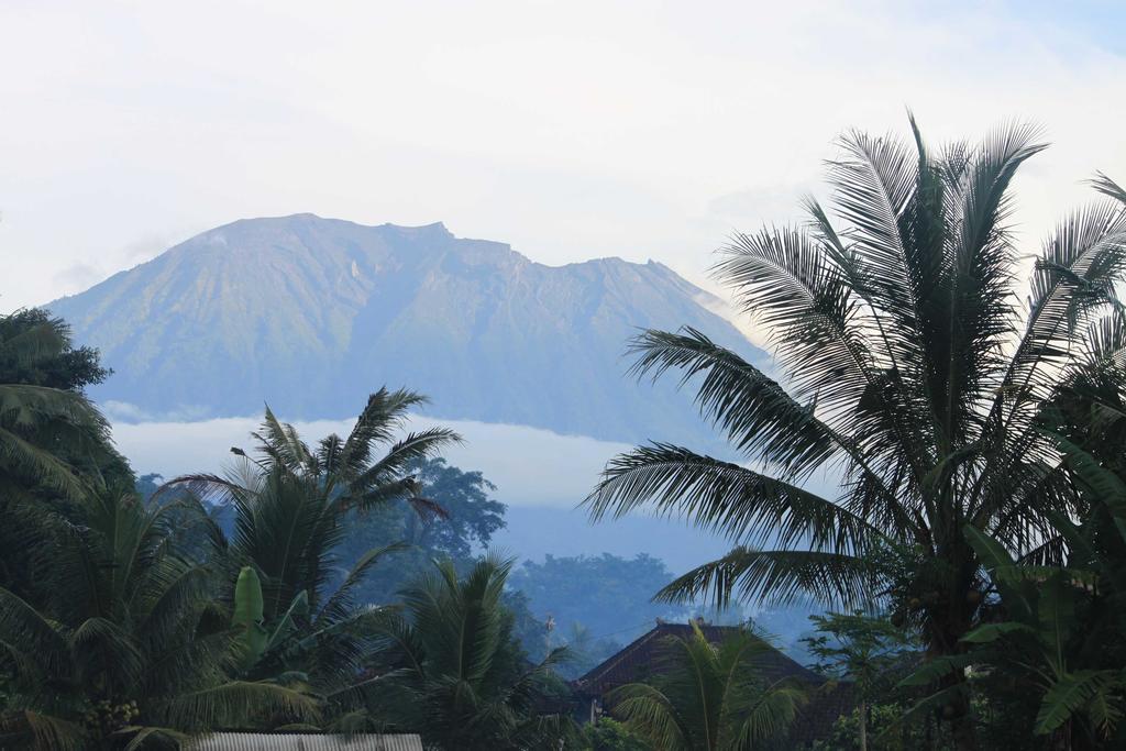 Hotel Bebek Biru Sidemen  Exterior foto